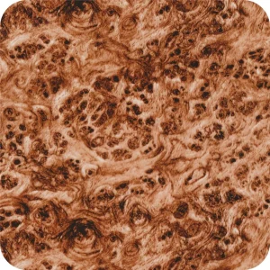 Wood 3 Hydrographics Film